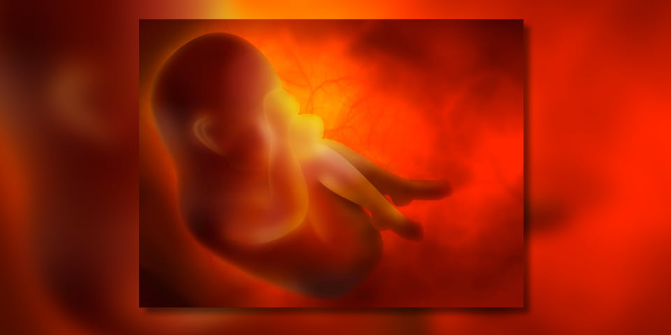 Amniotic Fluid Repertorium