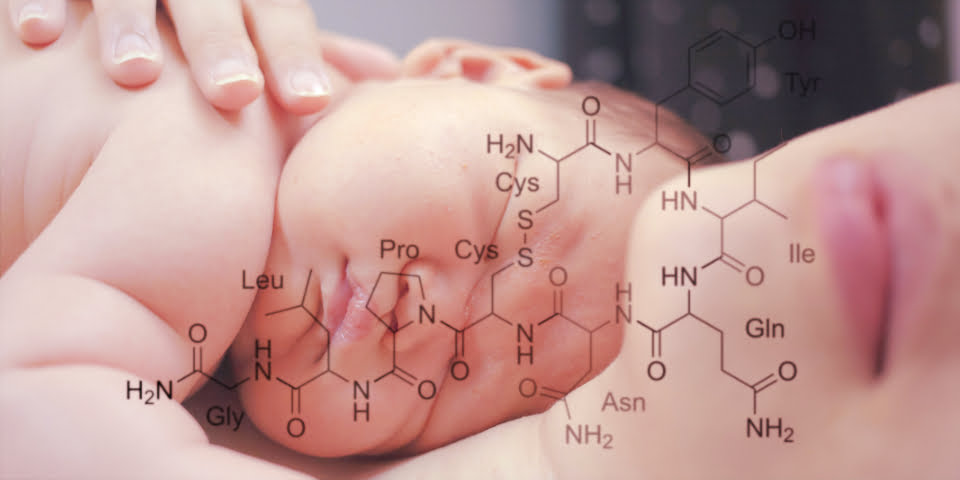Oxytocin – Touch of Love after Lack of Connection