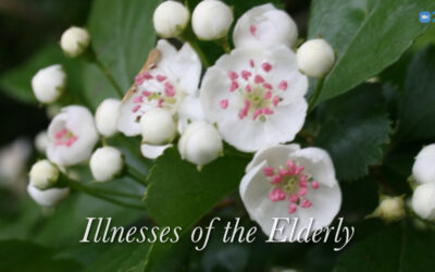 Illnesses of the Elderly