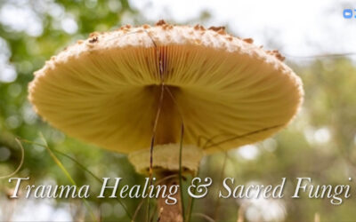 Trauma Healing & Sacred Fungi